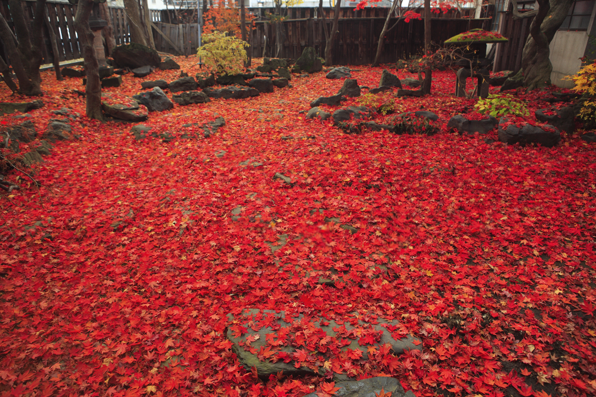 おかだ紅雪庭　蕎麦（そば）と日本料理「岡田邸200年財団が運営」